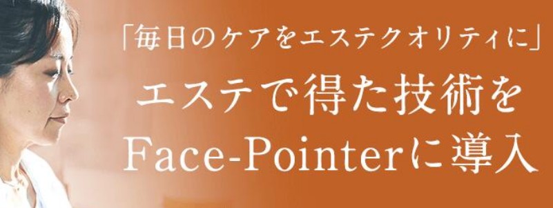 �t�F�C�X�|�C���^�[ �y���^����� �ucorefit �v���T�C�g